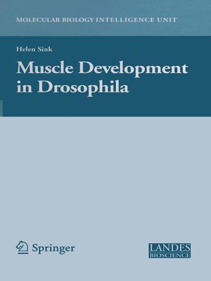 cover image of Muscle Development in Drosophilia